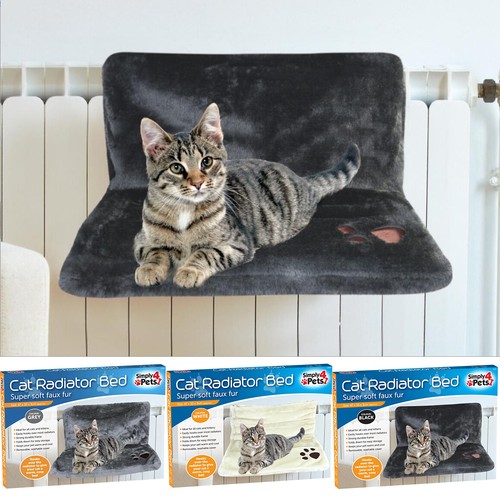 Katze kätzchen hängender - kätzchen,