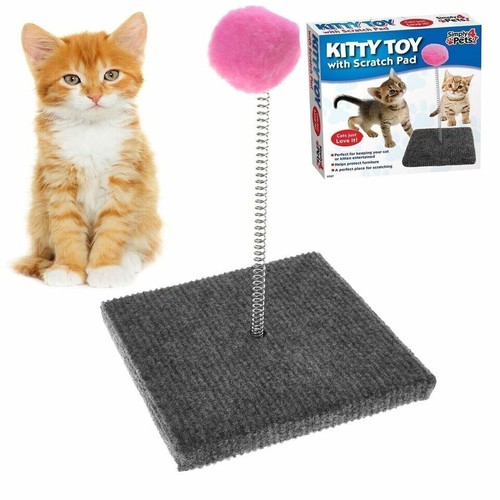 Katze haustier frühling - katze,